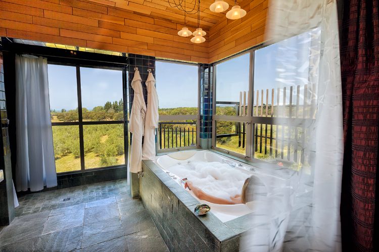 Image 1 - Hapuku Lodge and Treehouses - Luxury Lodges of NZ (Resized).jpg