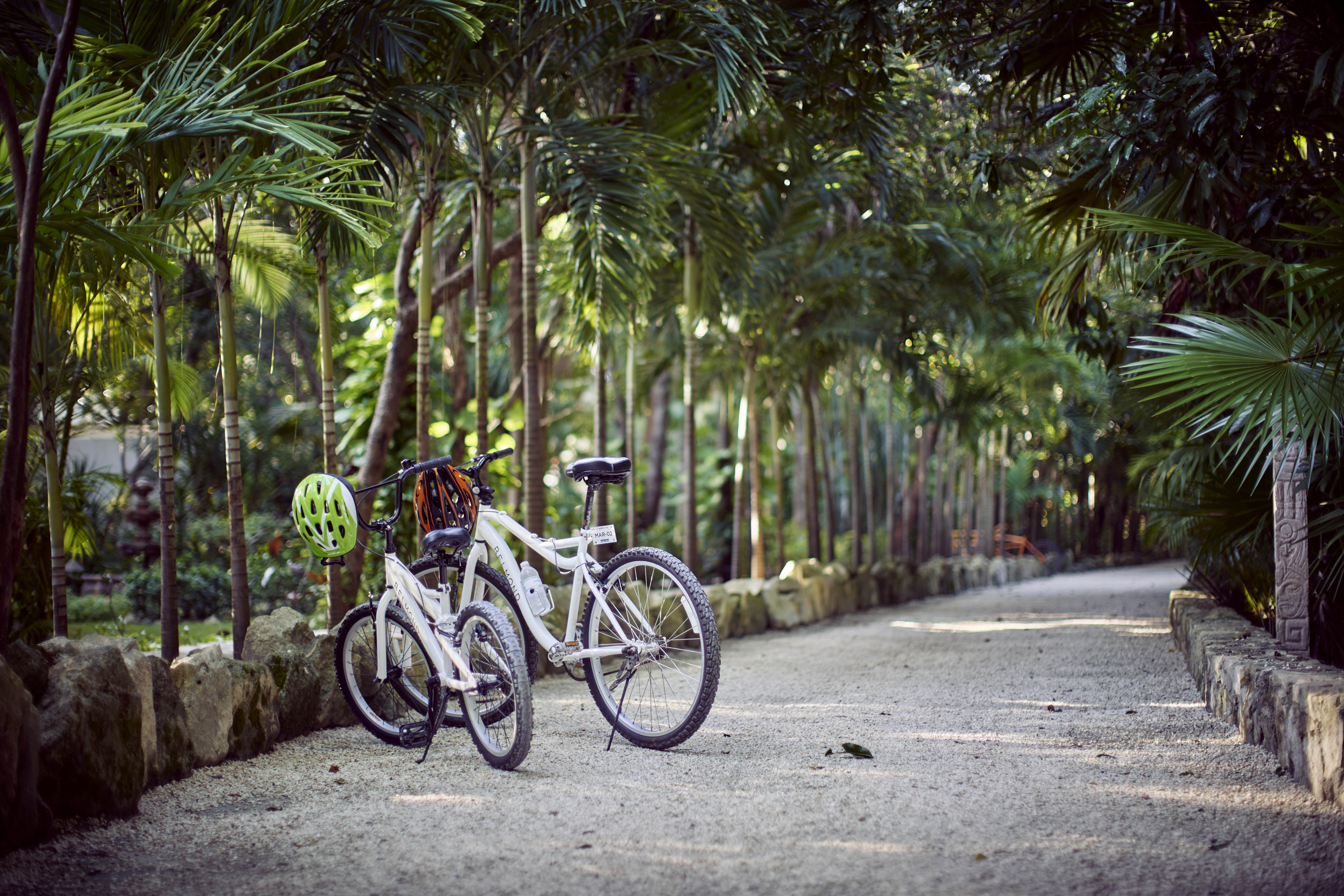 bike tour through the jungle.jpg