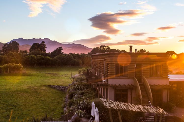 Image 4 - Hapuku Lodge and Treehouses - Luxury Lodges of NZ (Resized).jpg