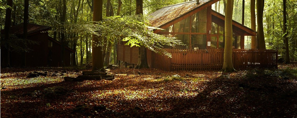 cabin-exterior