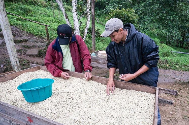 Image 1 - Nicaragua International Coffee Day (Cropped).jpg