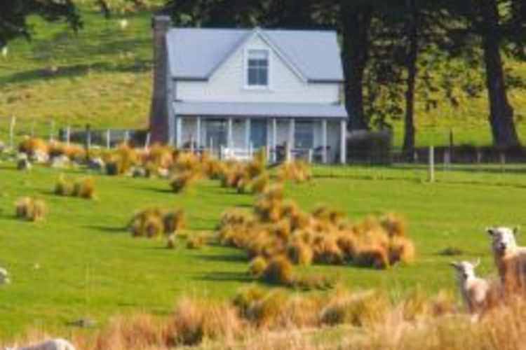 Image 7 - Annandale - Luxury Lodges of NZ.jpg